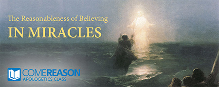 The Reasonableness of Believing in Miracles